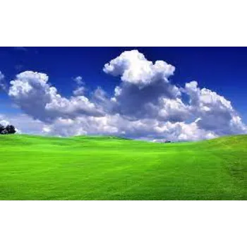 Fresh Natural Grass